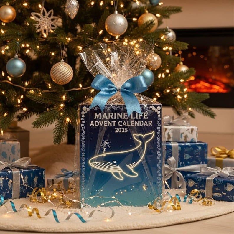 Marine Life Advent Calendar, 24 Day Ocean Countdown Box, Sea Animal Acrylic, Holiday Christmas, Ocean Science Gift for Kids