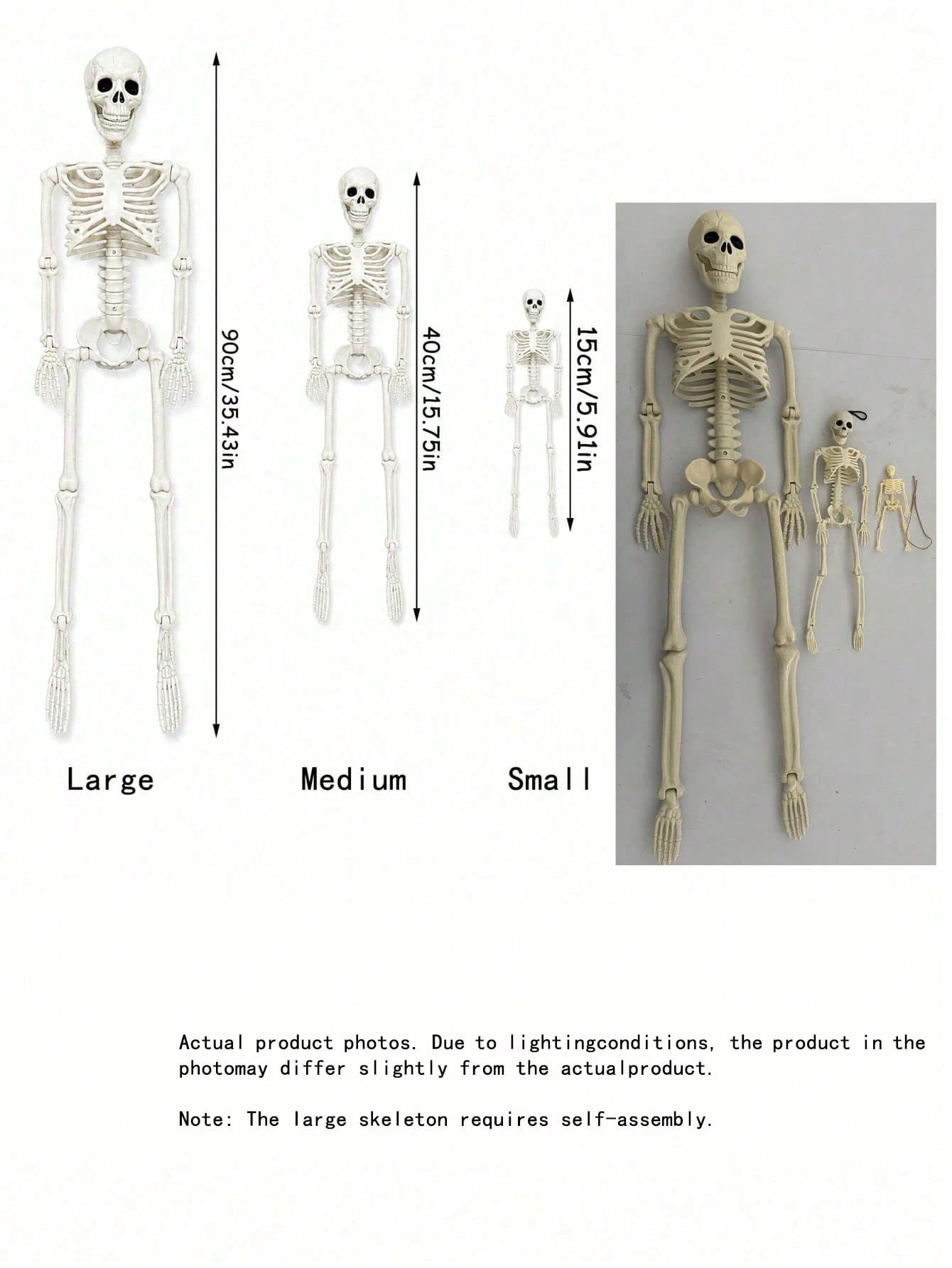 Movable Joint Plastic Skeleton Halloween Prop