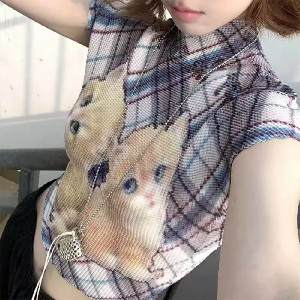 Twin Kitten Mesh Baby Tee