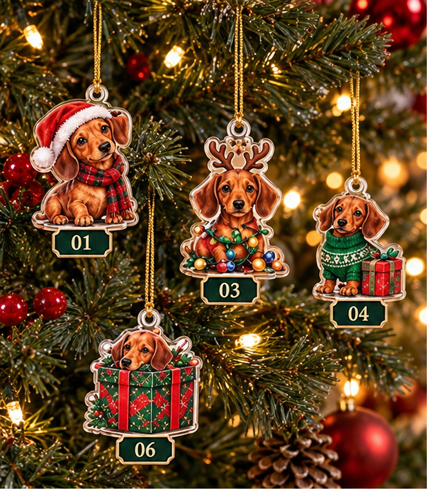 Winston's Dachshund Christmas Advent Calendar 2026, 24 Days of Cute Sausage Dog Surprises, Holiday Countdown Gift for Dog Lovers