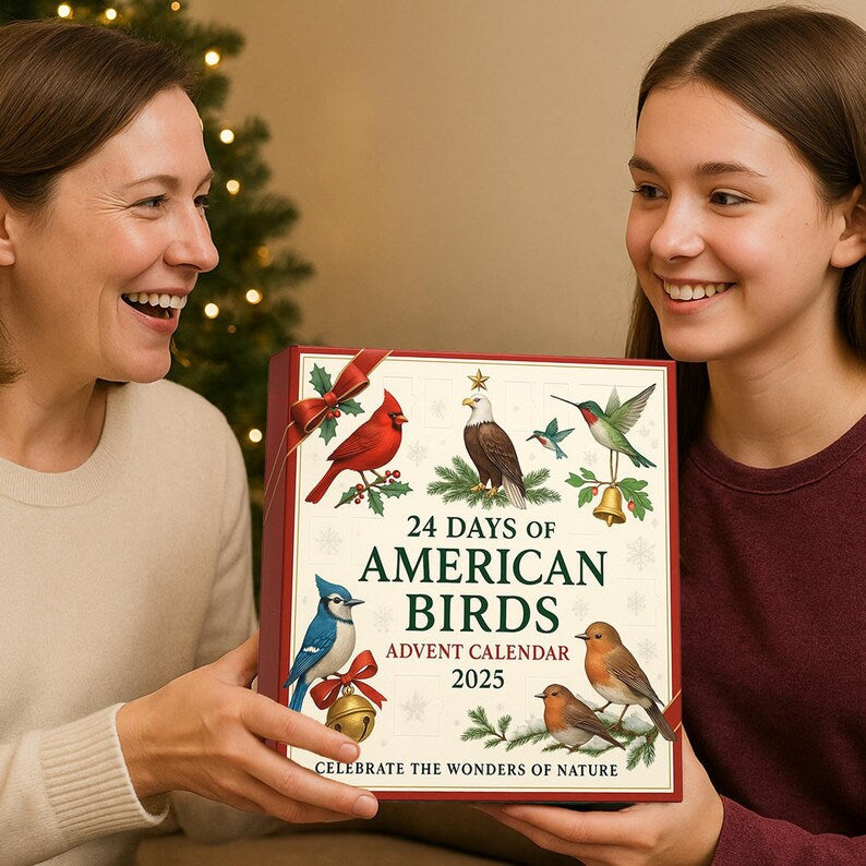 American Birds Advent Calendar 2025 24 Day Birds Figurines  Vintage Christmas Ornament Countdown