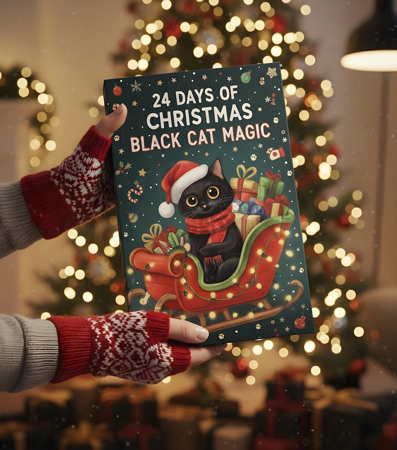 Christmas Black Cat Magic Advent Calendar 2025, 24 Days Blind Box, Cute Cat Christmas Gift, Holiday Countdown for Cat Lovers