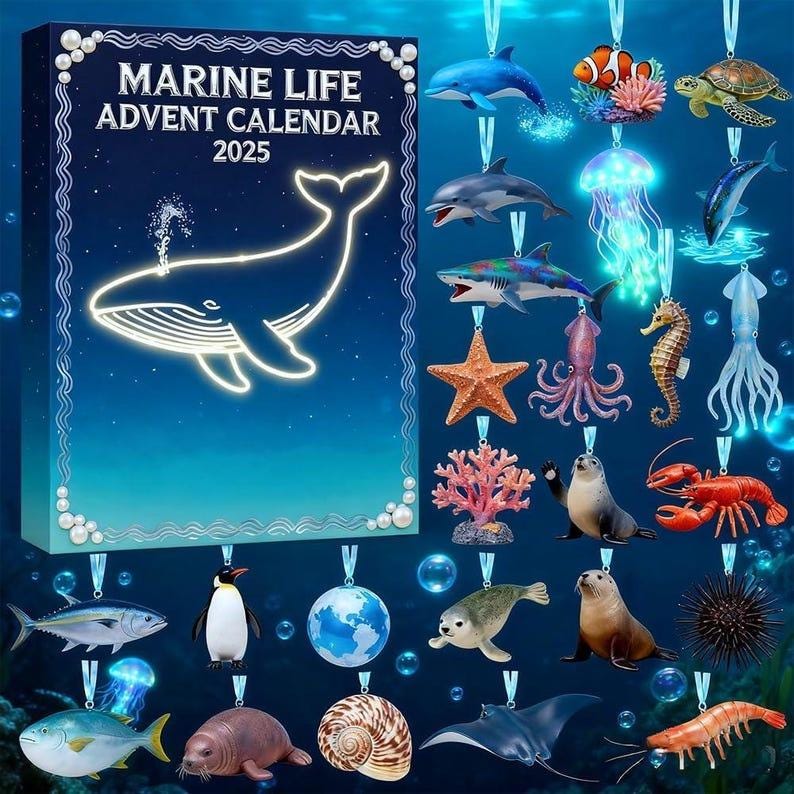 Marine Life Advent Calendar, 24 Day Ocean Countdown Box, Sea Animal Acrylic, Holiday Christmas, Ocean Science Gift for Kids