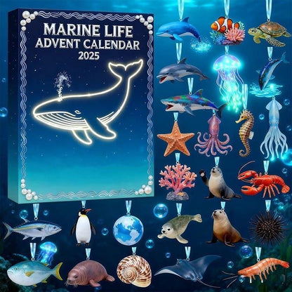 Marine Life Advent Calendar, 24 Day Ocean Countdown Box, Sea Animal Acrylic, Holiday Christmas, Ocean Science Gift for Kids