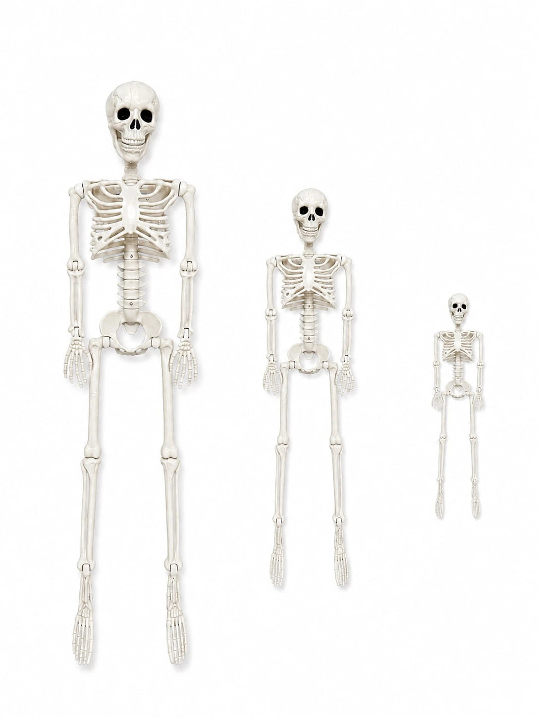 Movable Joint Plastic Skeleton Halloween Prop