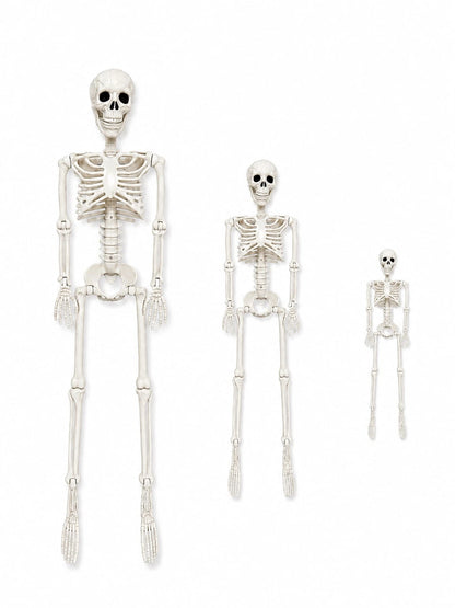 Movable Joint Plastic Skeleton Halloween Prop