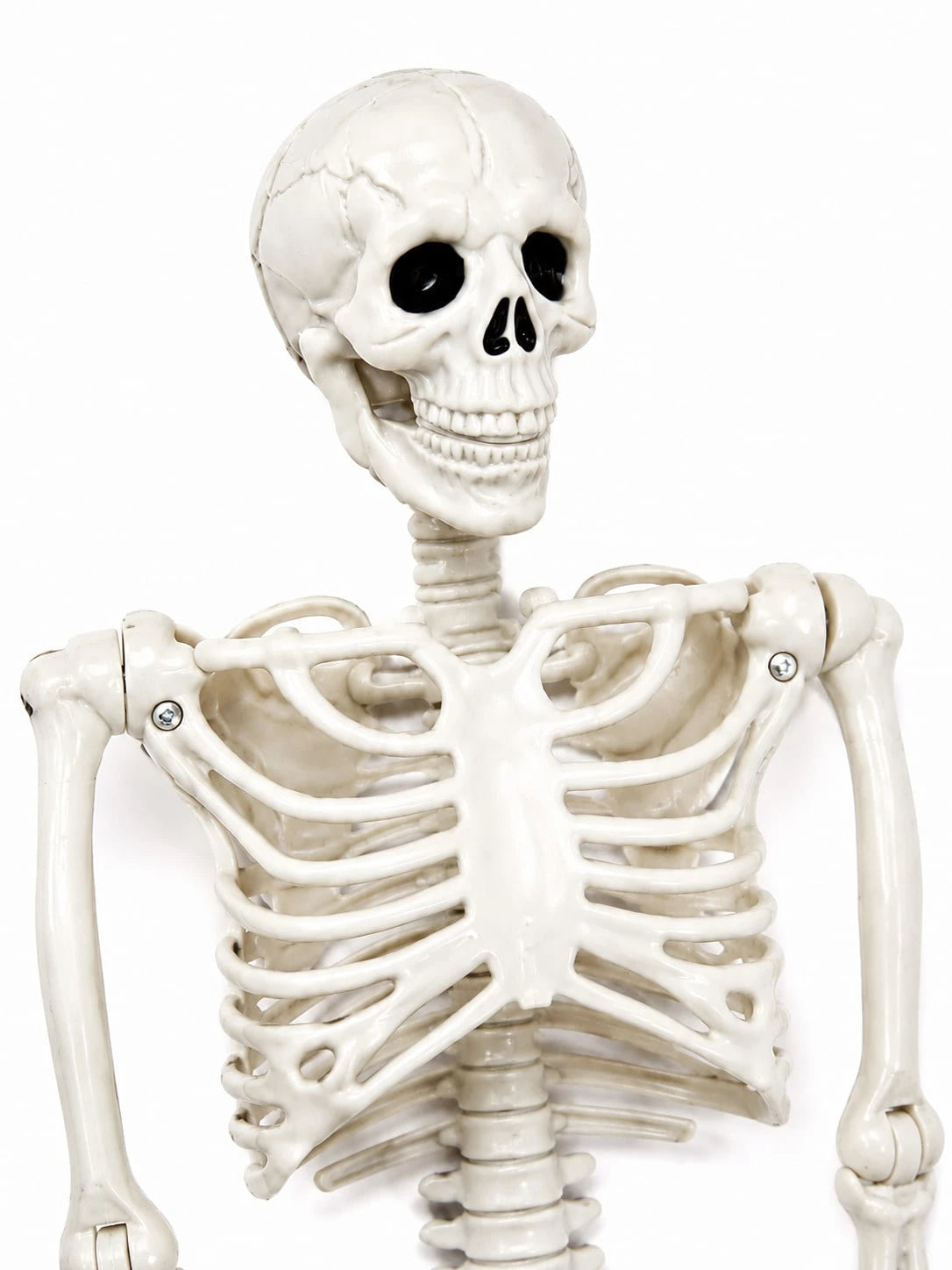 Movable Joint Plastic Skeleton Halloween Prop