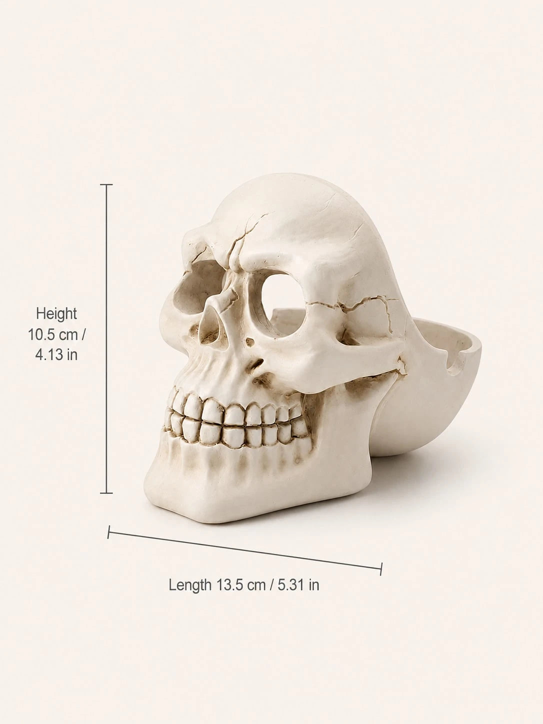 Gothic Resin Skull Ashtray Decorative Holder