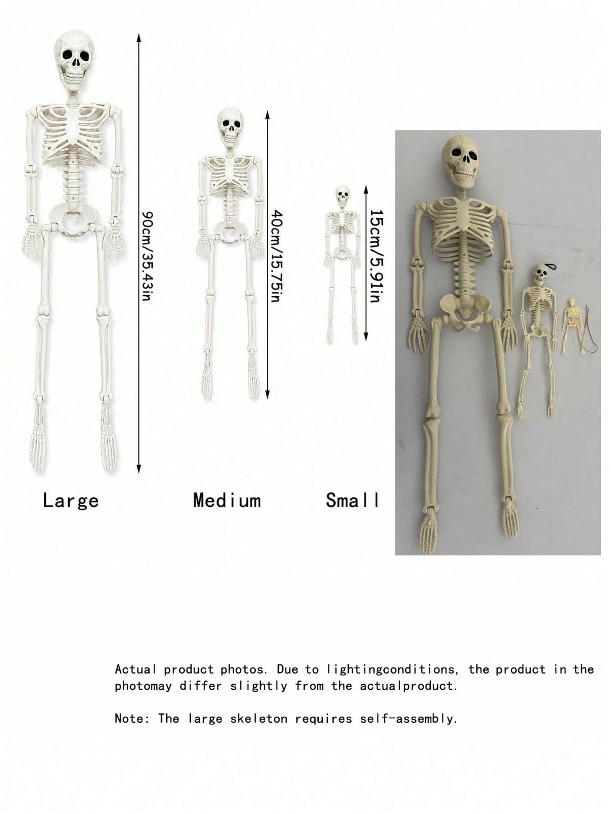 Movable Joint Plastic Skeleton Halloween Prop