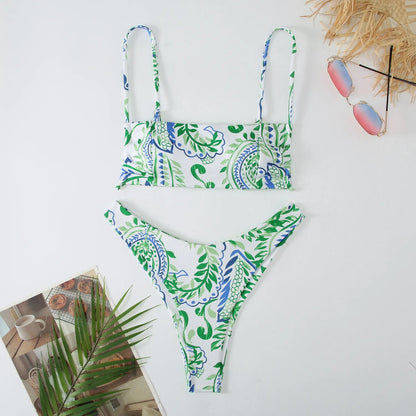 Printed Split Bikini European & American Swimsuit