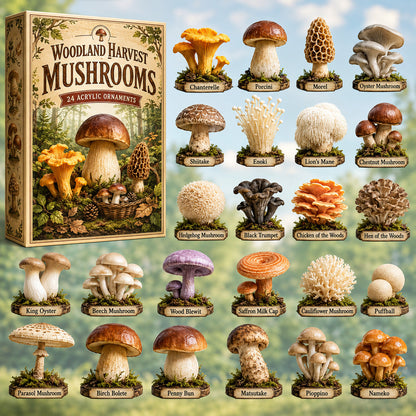 Woodland Harvest Mushrooms Advent Calendar 2026 - 24-Day Festive Countdown, Acrylic Charms Blind Box - Gift For Nature Lovers