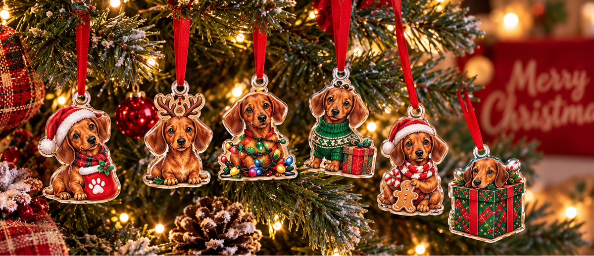 Winston's Dachshund Christmas Advent Calendar 2026, 24 Days of Cute Sausage Dog Surprises, Holiday Countdown Gift for Dog Lovers