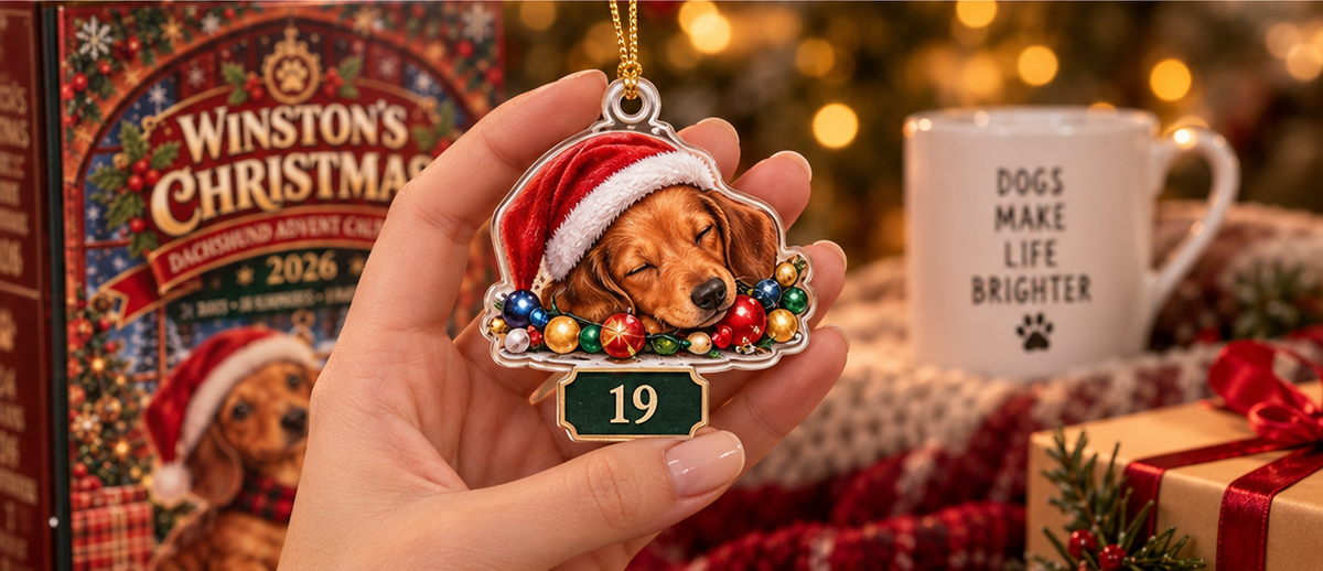 Winston's Dachshund Christmas Advent Calendar 2026, 24 Days of Cute Sausage Dog Surprises, Holiday Countdown Gift for Dog Lovers