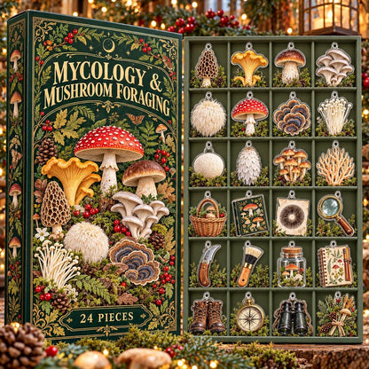 Mushroom Foraging Advent Calendar, 24 Acrylic Fungi Ornaments, Mycology Gift, Woodland Christmas Countdown Box, Mushroom Lover Christmas