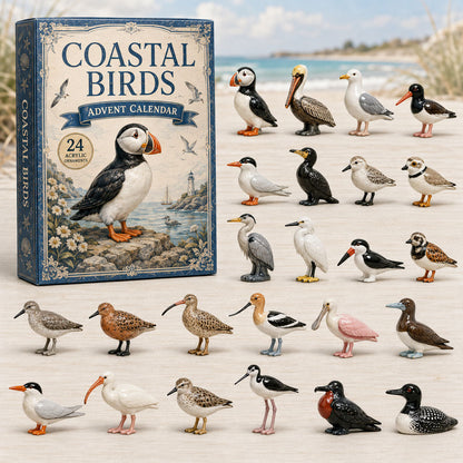 CHRISTMAS KICKOFF 40% OFF - Coastal Birds Advent Calendar 2026 - 24-Day Festive Countdown, Acrylic Charms Blind Box - Gift For Bird Lovers AC0TM216
