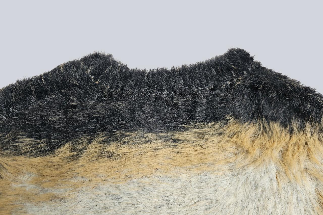 The Amber King Of Ruins Sweater