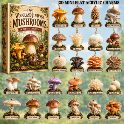 Woodland Harvest Mushrooms Advent Calendar 2026 - 24-Day Festive Countdown, Acrylic Charms Blind Box - Gift For Nature Lovers