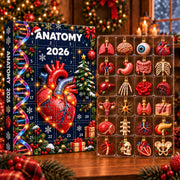 Anatomy Advent Calendar 2026, Human Body Blind Box, Medical Christmas Countdown, Anatomy Gift for Students, Doctor Christmas Gift