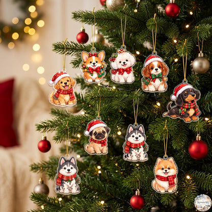 Dog Christmas Advent Calendar 2026 | 24 Day Countdown Gift Box with Personalized 2D Ornament