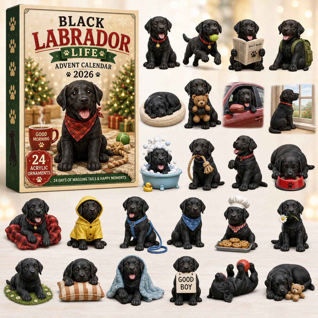 Black Labrador Life Advent Calendar 2026 - 24-Day Festive Countdown, Acrylic Charms Blind Box - Gift For Labrador Lovers