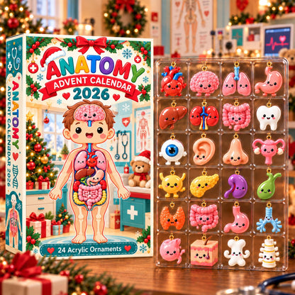 Anatomy Advent Calendar 2026, Human Body Blind Box, Medical Christmas Countdown, Anatomy Ornaments, Gift for Medical Student
