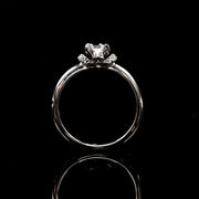 Horned Skull Inlaid Zircon Sterling Silver Ring