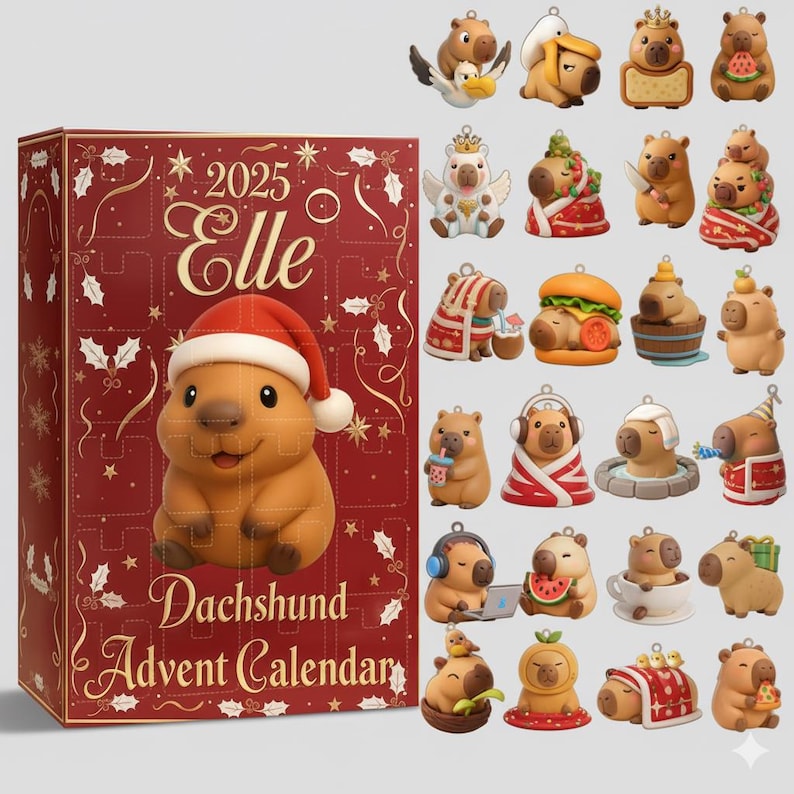 Custom 2025 Capybara Advent Calendar, Cute Capybara Christmas Countdown Box, Funny Animal Ornaments Set, Holiday Gift for Capybara Lovers