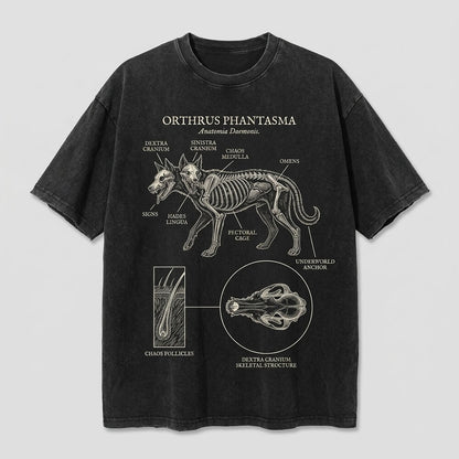 Orthrus Phantasma Anatomy Graphic Vintage Washed T-shirt